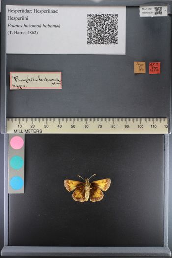 Media type: image;   Entomology 210408